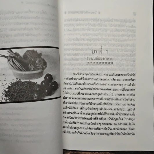 โภชนาหารบำบัดโรคกระเพาะ เพื่อการป้องกันรักษาแผนใหม่ - ภาณุ อัมพรบุพชา รูปที่ 8