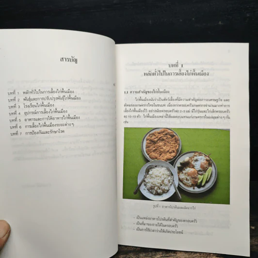 การเลี้ยงไก่พื้นเมือง - ธำรงศักดิ์ ผลบำรุง รูปที่ 7