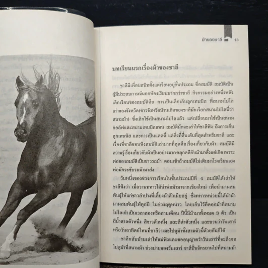 ม้าของชาลี - ชัยสวัสดิ์ เทียนวิบูลย์ รูปที่ 8