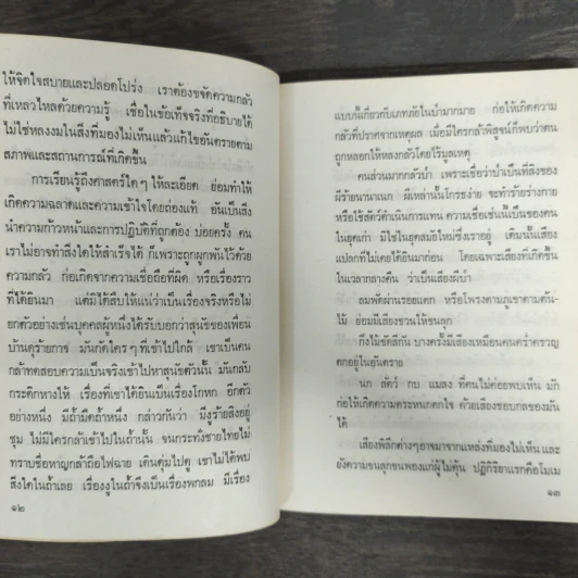ป่า - จินดา ดวงจินดา รูปที่ 7