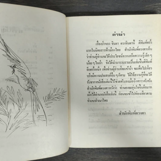 ป่า - จินดา ดวงจินดา รูปที่ 6