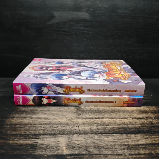 The Choice เส้นทางนางร้ายไม่ง่ายเลยครับ 2 เล่มจบ - Little Anri รูปที่ 3