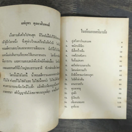 ในอ้อมกอดหิมาลัย - พจนา จันทรสันติ รูปที่ 6