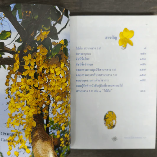คู่มือเที่ยวชมพรรณไม้ สวนหลวง ร.9 เล่ม 1 - ไม้ต้น รูปที่ 7