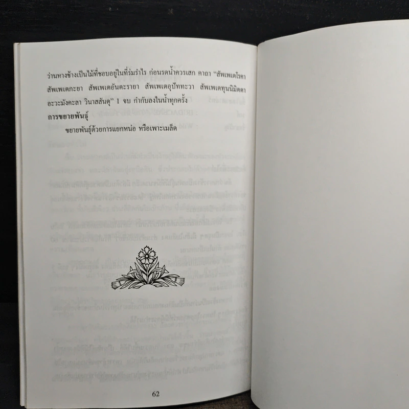 ว่านมงคล - ชมรมพัฒนาไม้ดอกไม้ประดับ รูปที่ 9