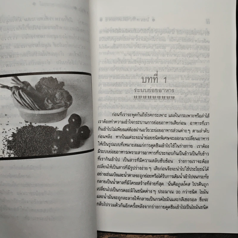 โภชนาหารบำบัดโรคกระเพาะ เพื่อการป้องกันรักษาแผนใหม่ - ภาณุ อัมพรบุพชา รูปที่ 8