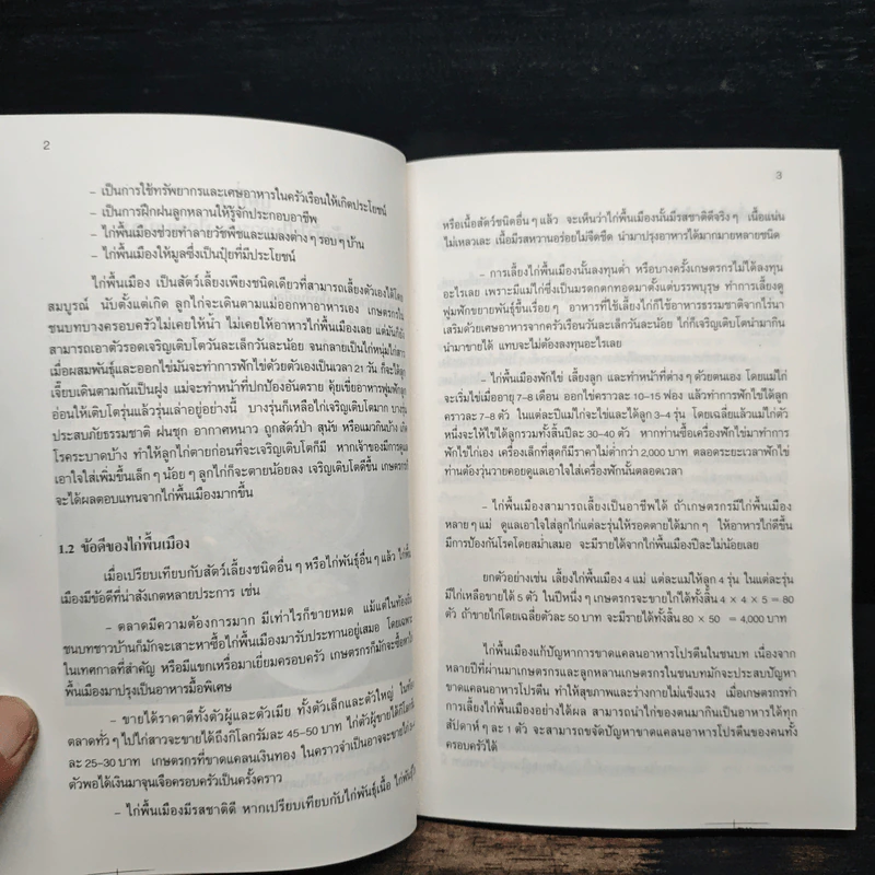 การเลี้ยงไก่พื้นเมือง - ธำรงศักดิ์ ผลบำรุง รูปที่ 8