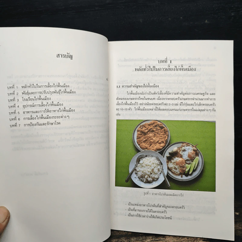 การเลี้ยงไก่พื้นเมือง - ธำรงศักดิ์ ผลบำรุง รูปที่ 7