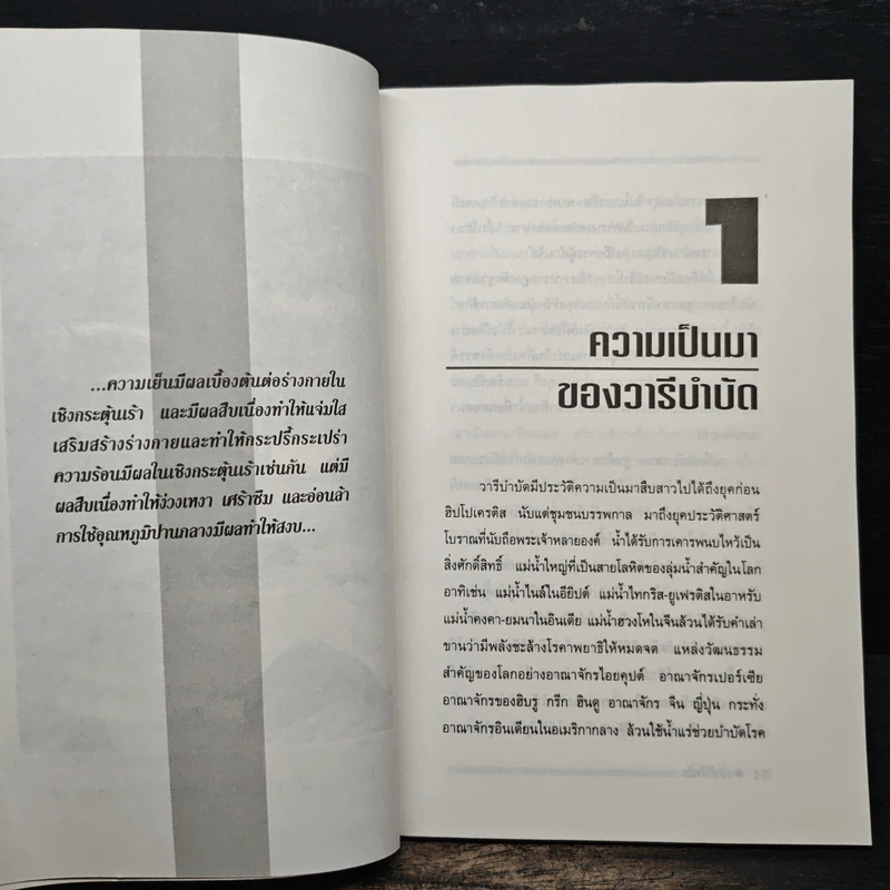 วารีบำบัดอานุภาพแห่งสายน้ำ รูปที่ 8