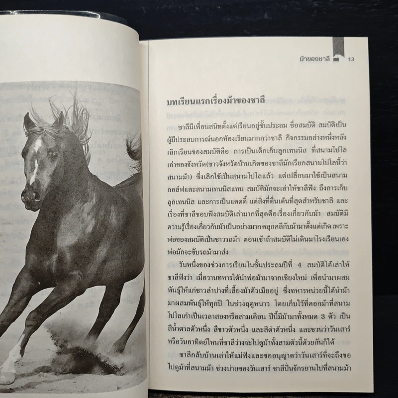 ม้าของชาลี - ชัยสวัสดิ์ เทียนวิบูลย์ รูปที่ 8