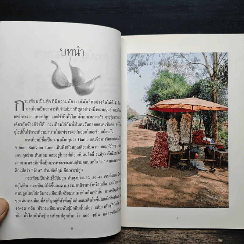 กระเทียม ตำรับอาหารเพื่อสุขภาพ รูปที่ 8