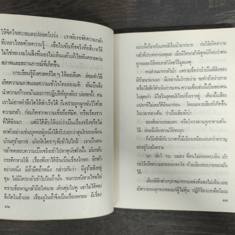 ป่า - จินดา ดวงจินดา รูปที่ 7