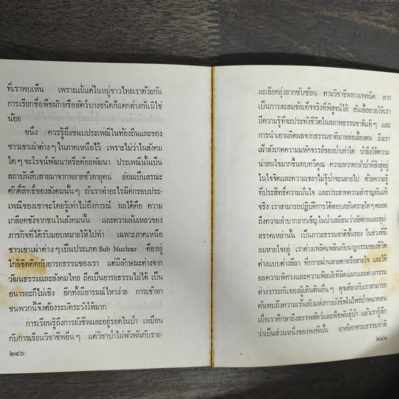 ป่า - จินดา ดวงจินดา รูปที่ 8