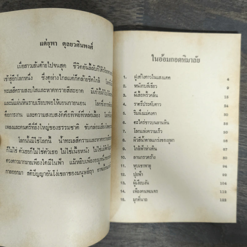 ในอ้อมกอดหิมาลัย - พจนา จันทรสันติ รูปที่ 6