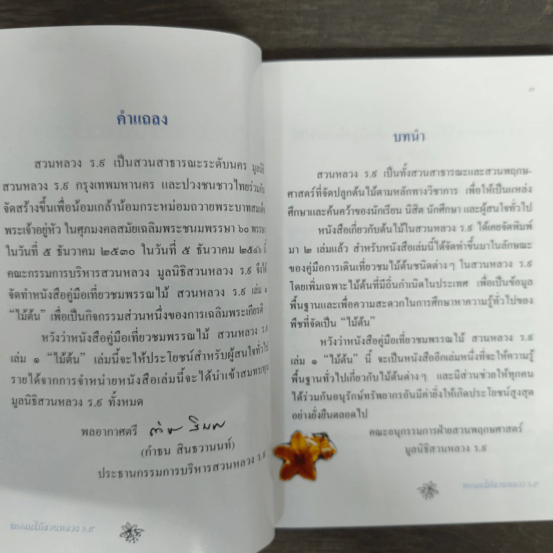 คู่มือเที่ยวชมพรรณไม้ สวนหลวง ร.9 เล่ม 1 - ไม้ต้น รูปที่ 6