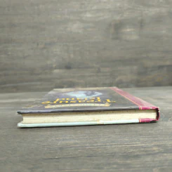 Treasure Island - Robert Louis Stevenson รูปที่ 4