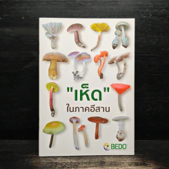 "เห็ด" ในภาคอีสาน