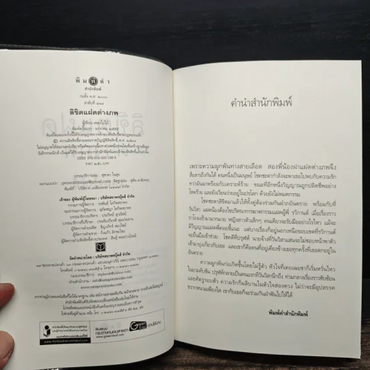 ลิขิตแฝดต่างภพ - เพลงใบไม้ รูปที่ 6