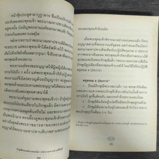 ภิกษุณีพระองค์แรกของโลก พระนางมหาปชาบดีโคตมี รูปที่ 8