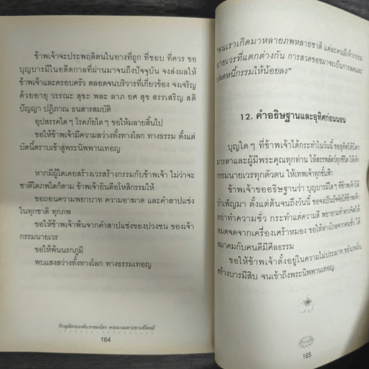 ภิกษุณีพระองค์แรกของโลก พระนางมหาปชาบดีโคตมี รูปที่ 9