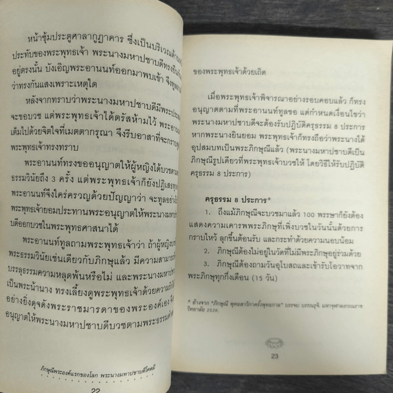 ภิกษุณีพระองค์แรกของโลก พระนางมหาปชาบดีโคตมี รูปที่ 8