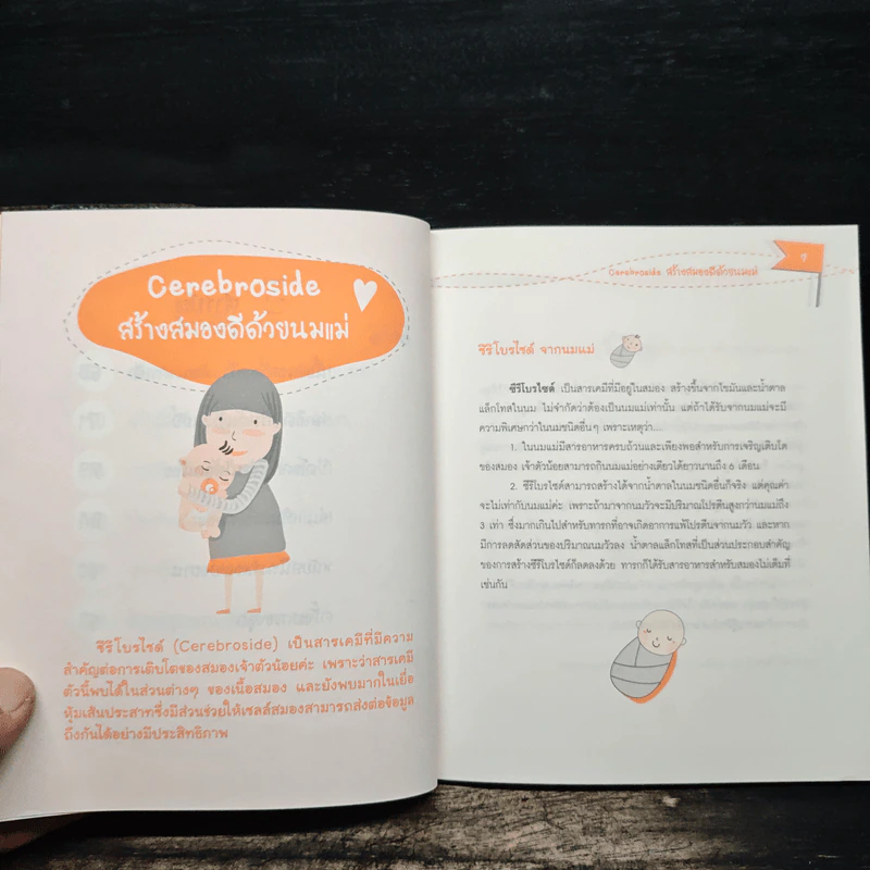 Brain guide ปลุกพลังสมอง (วัยแรกเกิด - 1 ปี) รูปที่ 8