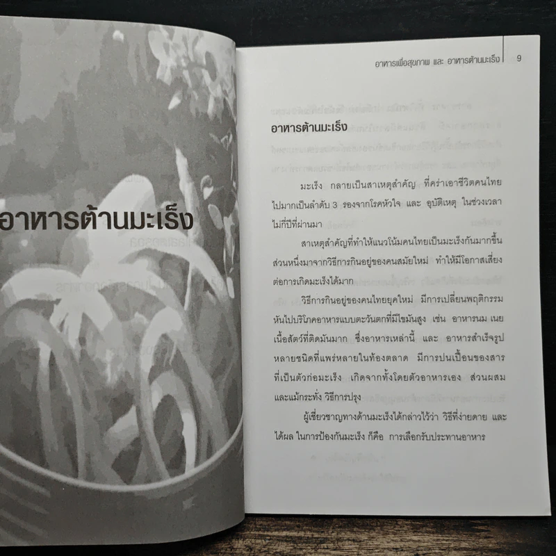 อาหารเพื่อสุขภาพและอาหารต้านมะเร็ง - ฐิติชัย ลาภจรัสสุริยา รูปที่ 9
