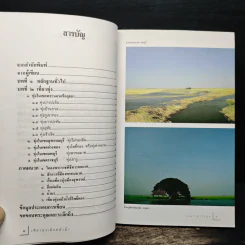 เที่ยวทุ่งเมื่อหน้าน้ำ - เอนก นาวิกมูล รูปที่ 7