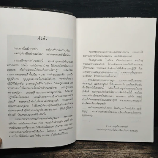 กบเฒ่านั่งเฝ้ากอบัว - พระโพธิญาณเถร (หลวงพ่อชา สุภทโท) รูปที่ 5