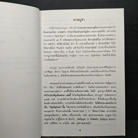 มาฆบูชา - พระธรรมวิสุทธิมงคล รูปที่ 7