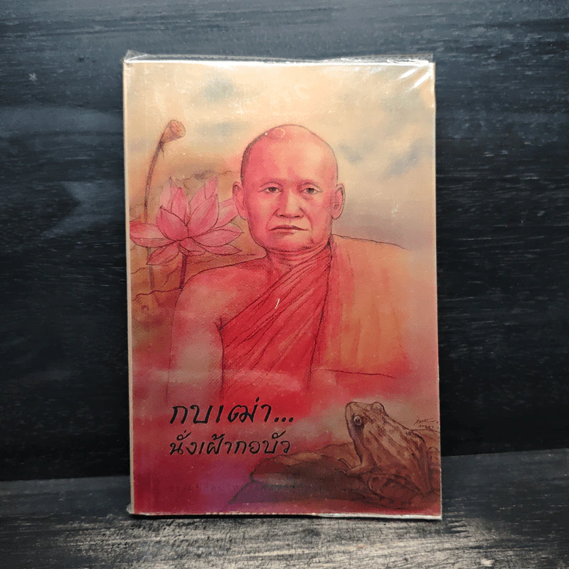 กบเฒ่านั่งเฝ้ากอบัว - พระโพธิญาณเถร (หลวงพ่อชา สุภทโท) รูปที่ 1