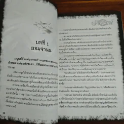 การิน ปริศนาคดีอาถรรพ์ ภาค 2 ตอนที่ 10 ญาณอาถรรพ์ - อัยย์ รูปที่ 8