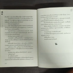 วาสนาชะตารัก - ชื่อถง รูปที่ 9