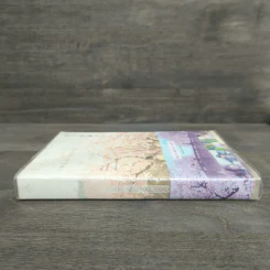ตับอ่อนเธอนั้นขอฉันเถอะนะ : I Want to Eat Your Pancreas - Yoru Sumino (โยรุ ซูมิโนะ) รูปที่ 2