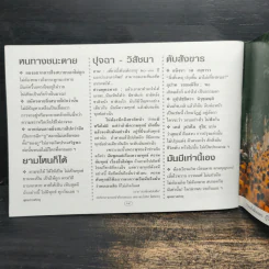 ชีวิตงาม เล่ม 6 รูปที่ 8