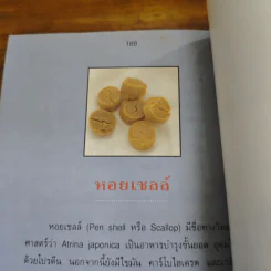 100 ยาจีนบำรุงสุขภาพ - อดุลย์ รัตนมั่นเกษม รูปที่ 11