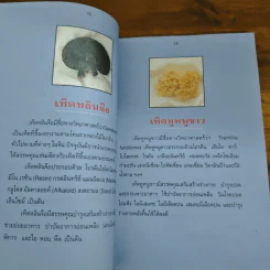 100 ยาจีนบำรุงสุขภาพ - อดุลย์ รัตนมั่นเกษม รูปที่ 10