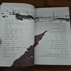 สองเงาในเกาหลี - ทรงกลด บางยี่ขัน รูปที่ 7