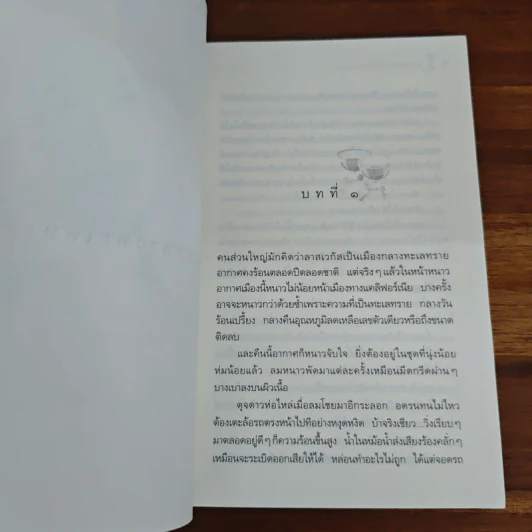 หิมะกลางทะเลทราย - กิ่งฉัตร รูปที่ 8