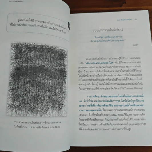 กรรมตามสมอง - ขุนเขา สินธุเสน เขจรบุตร รูปที่ 8