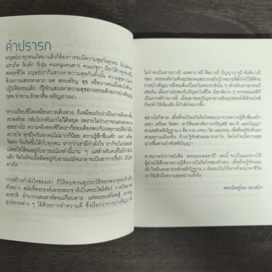 ธรรมะเทอราปี 2 - พระอาจารย์มิตซูโอะ คเวสโก รูปที่ 6