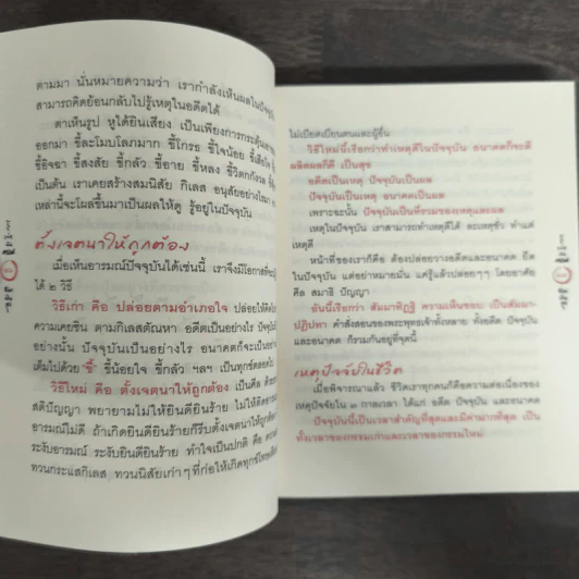 รู้เท่าทันกรรม ชีวิตเป็นสุข - พระอาจารย์มิตซูโอะ คเวสโก รูปที่ 8