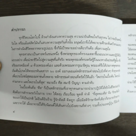 สันติสุขทุกก้าวย่าง - พระอาจารย์มิตซูโอะ คเวสโก รูปที่ 6