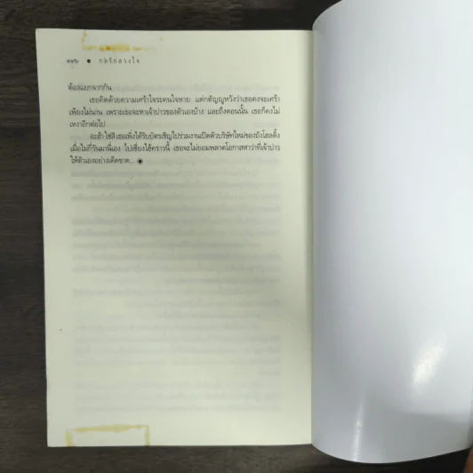 กลรักลวงใจ - ณารา รูปที่ 8