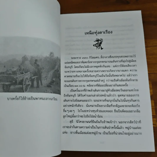 ป่าใหญ่ไพรกว้าง - ชาลี เอี่ยมกระสินธุ์ รูปที่ 8