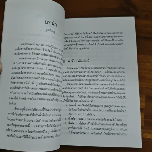 ลึกลงไปในภาพ เซน - เหล่าซือ รูปที่ 8