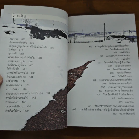 สองเงาในเกาหลี - ทรงกลด บางยี่ขัน รูปที่ 7