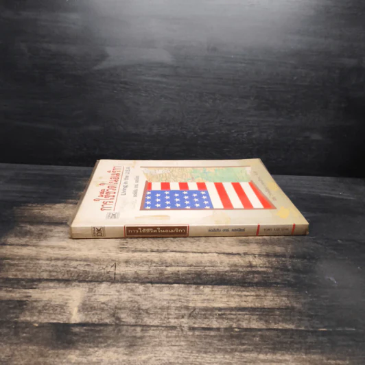 การใช้ชีวิตในอเมริกา Living in the U.S.A. - แอลิสัน อาร์. แลเนียร์ รูปที่ 3