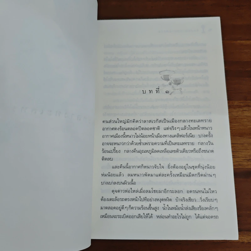 หิมะกลางทะเลทราย - กิ่งฉัตร รูปที่ 8