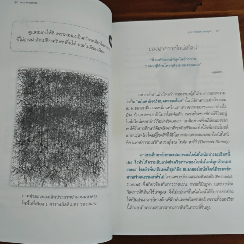 กรรมตามสมอง - ขุนเขา สินธุเสน เขจรบุตร รูปที่ 8